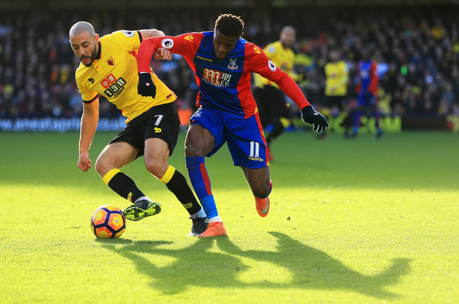 也令人瞩目 也令人瞩目